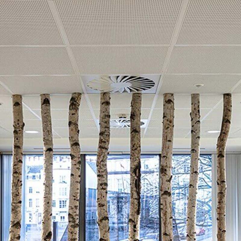 Knauf danoline lydabsorberende lofter