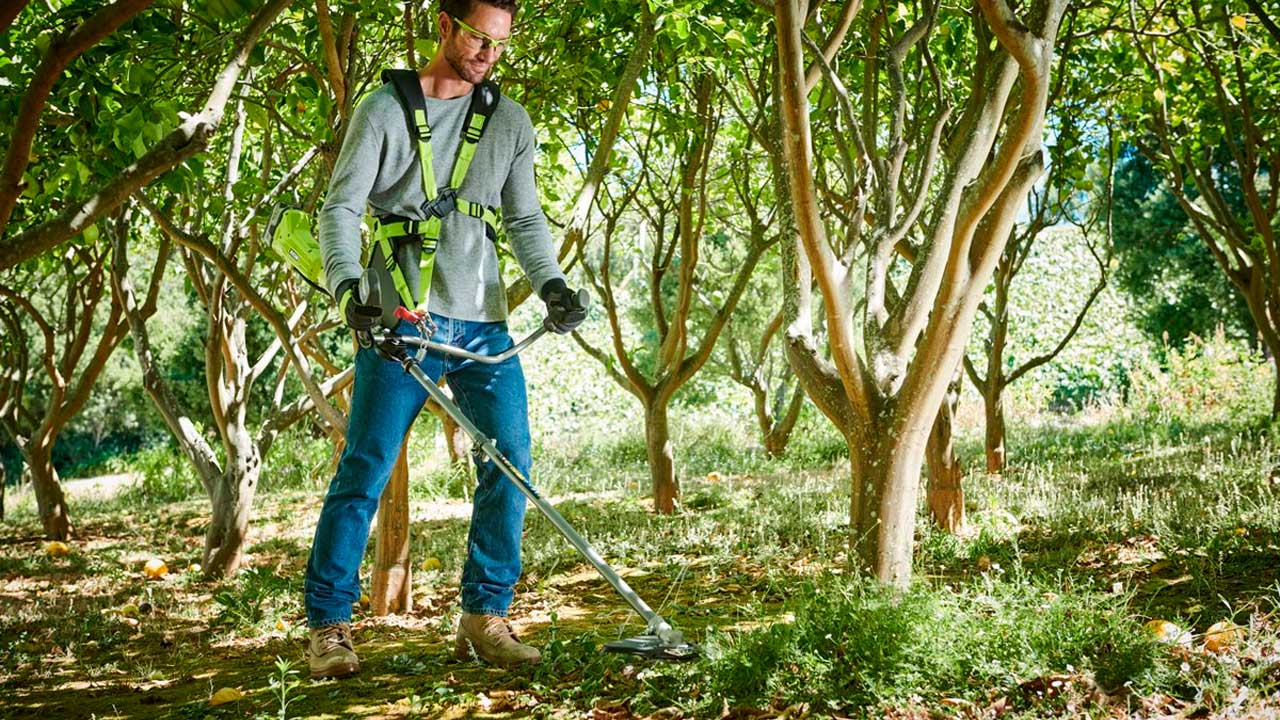 Buskrydderen med mere kraft end græstrimmer